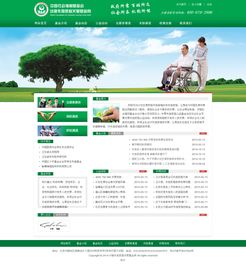 專業企業展示型網站建設，打造北京企業的數字名片